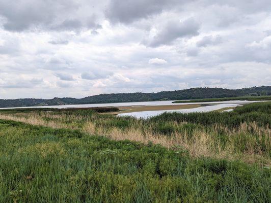 Instagram: @telephonesmoothie