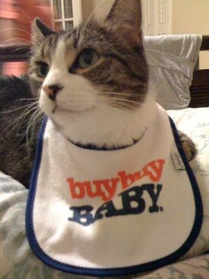 Bib that came in the gift bag when we opened our registry.