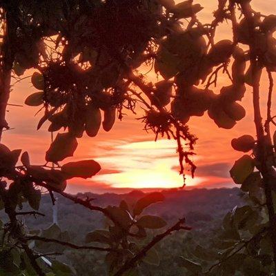 Law Offices Of Ivan Friedman