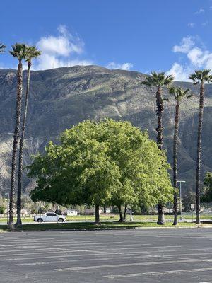 Mt San Jacinto College