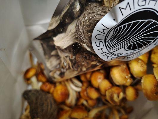 Mighty Cap Mushrooms