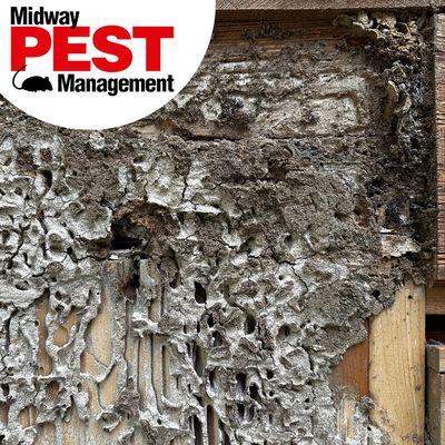 Midway Pest Management