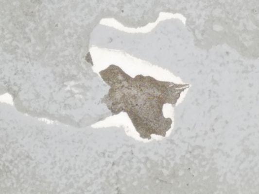 Cranking & peeling all over after a few months & not preparing the floor before applying the product