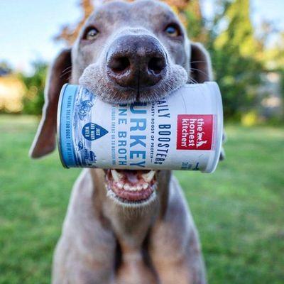 Bone Broth available now .