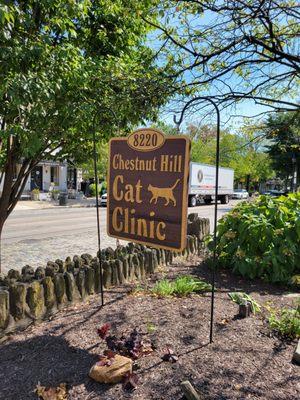 Chestnut Hill Cat Clinic