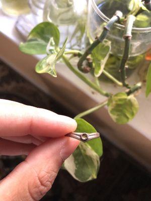 Super Silver Sacramento