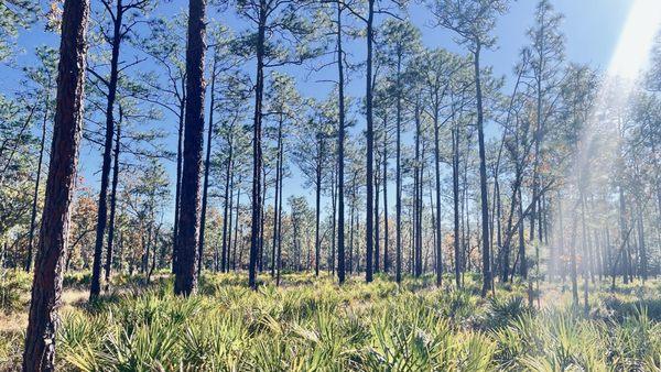 Morningside Nature Center