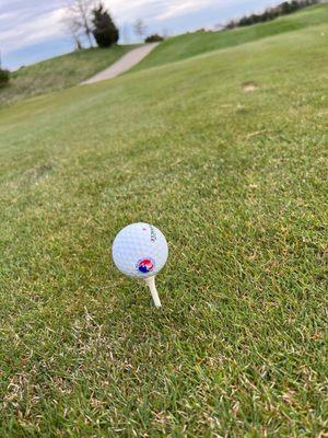 Glenview Prairie Club