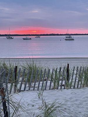 Hoogendoorn Nurseries