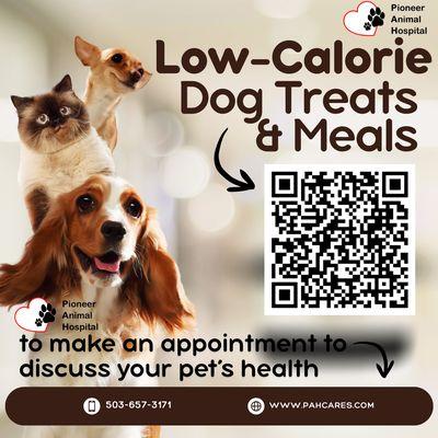 Pioneer Animal Hospital