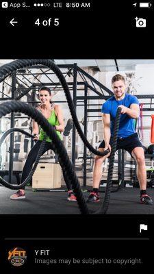 Y Fit Fitness LLC