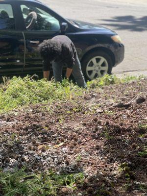 Ohana Landscaping & Tree Service