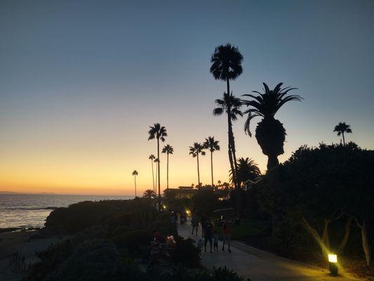 Cuevas Tree Service Landscaping