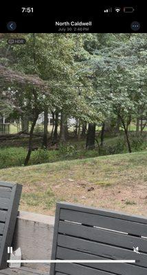 watering in full sun--caused severe lawn damage.