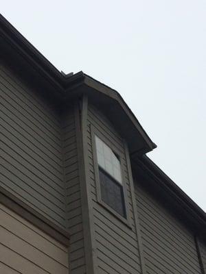 Siding has been falling off for months. It's like maintenance has tunnel vision.