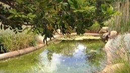 Conejo concrete pumping service Concrete ready mix arranged at a DISCOUNTED rate! Big rock/Pea rock pumps Finish, forming, & ...