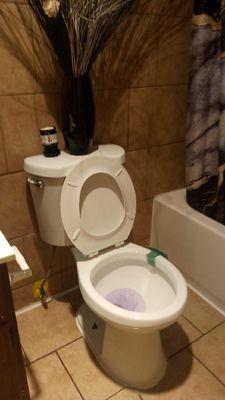 All In The Family Cleaning Services