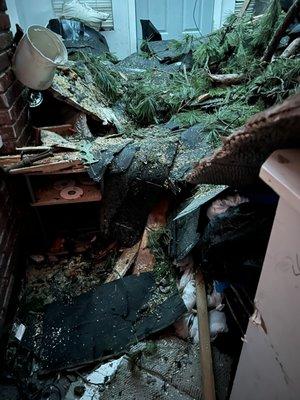 Bomb Squad Junk Removal