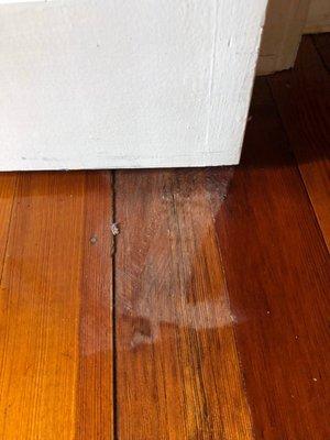 Warren Simpson & Sons Carpet & Home Improvement