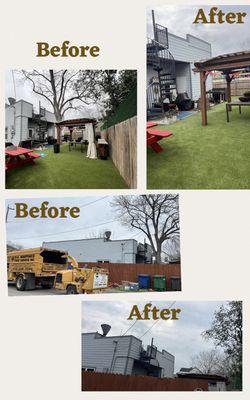 D A Martinez Tree Service