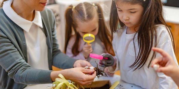 Ace Montessori Preschool