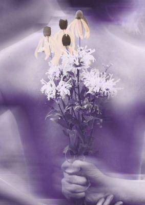 California Children Film Festival