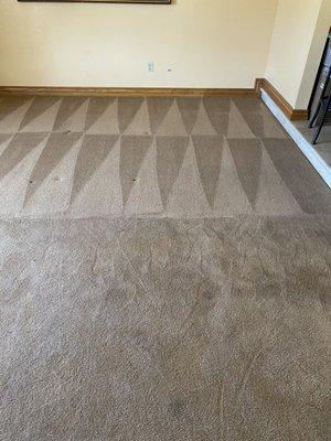 Legacy carpet cleaning