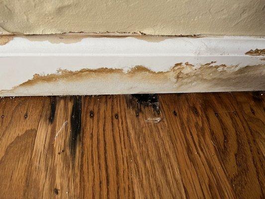 Nature Pacific Pest Services