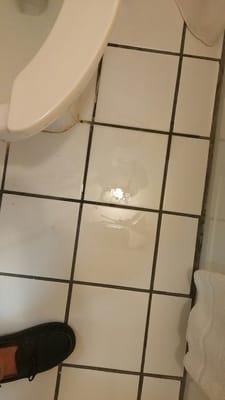 Leaking toilet that when i stood up my slippers slipped and i FELL BACK DOWN...... I HAVE MORE PICS AND VIDEO PLEASE STAY AWAY