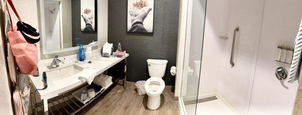 Cambria Hotel Richardson-Dallas