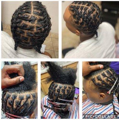 Ladybugs Braids & Beauty