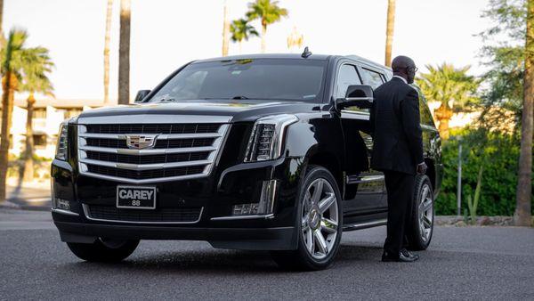 Professional chauffeurs