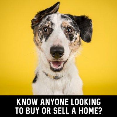 Contact me Today! Misti Tibbitts, Realtor at Ocean Real Estate of Hutchinson Island