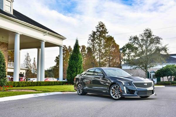 Dimmitt Cadillac Clearwater