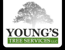 Young's Tree Services