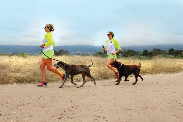 Santa Barbara Dog Jog