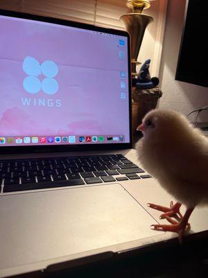 Trinity Computer Systems