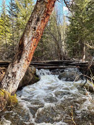 Rich Creek Trailhead