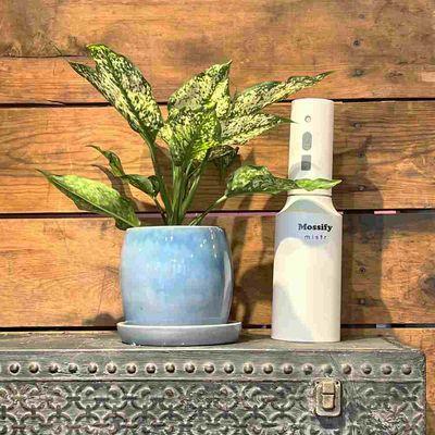 Seguin Gardens & Gifts