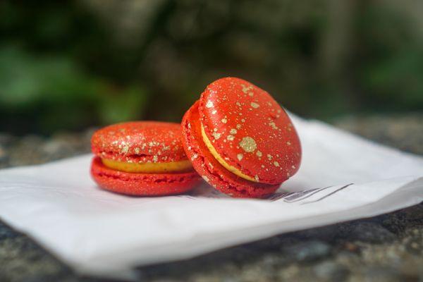 Lady Yum - Bellevue Square