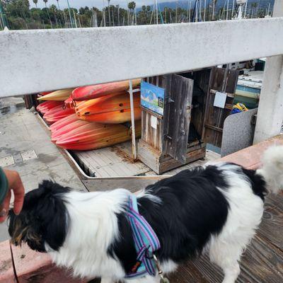 Paddle Sports Center