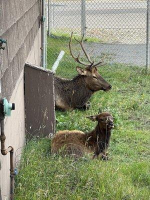Gardiner Community Library