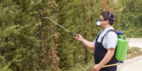 Expert Pest Management