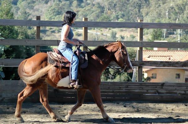 Pleasant Valley Horse Club