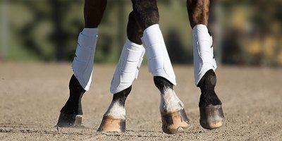 Professional's Choice Sports Medicine Products