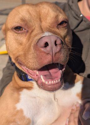 Break The Chains Rescue