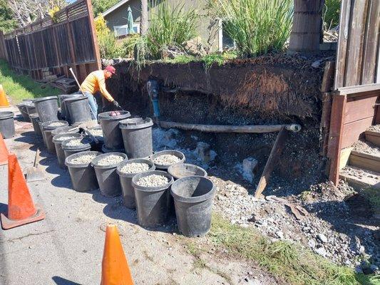 Jay Welty Landscaping