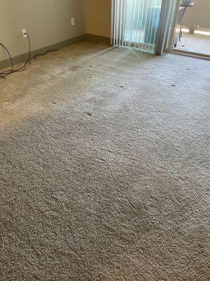 One Source Carpet Cleaning