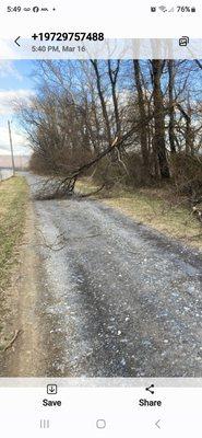 Clearview Tree and Landscaping Services