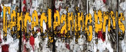 Fence Cleaning Pro's Lubbock